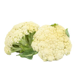 东升农场 东升有机白花菜 椰菜花 烧烤 广州健康蔬菜新鲜配送400g