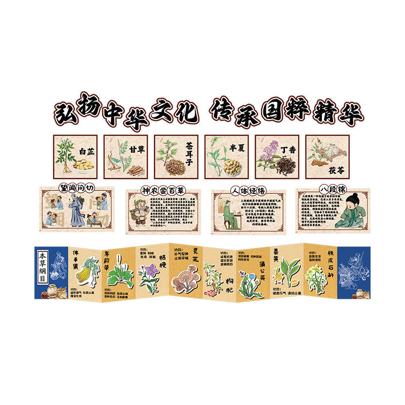 中华传统文化草药八段锦挂图幼儿园墙面装饰环创主题成品布置场景