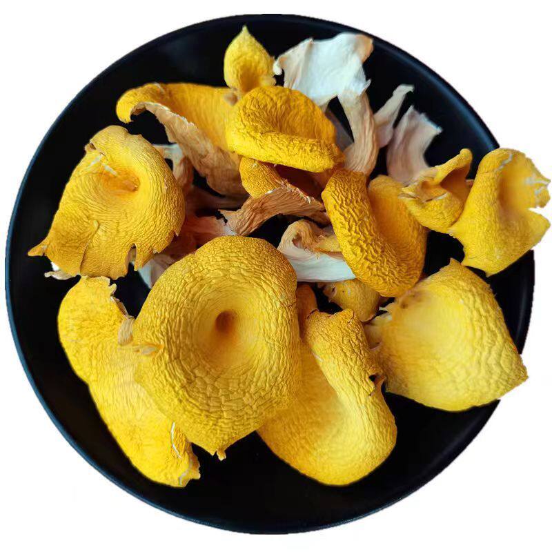 正宗精选鸡油菌干货榆黄菇黄丝菌