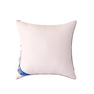 抱枕枕芯内胆内芯靠垫芯40 45 50 55 60 65 70枕心沙发正方形靠枕