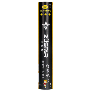中极星羽毛球鹅毛耐用耐打稳定三星特惠羽球比赛球热销榜训练羽球