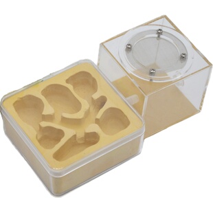 施王蚁馆 亚克力石膏蚁巢仿生态巢宠物蚂蚁城堡蚂蚁巢穴家园工坊