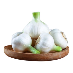 2026新鲜大蒜头现货鲜蒜湿蒜腌制糖蒜山东白皮嫩蒜生蔬菜鲜蒜青蒜