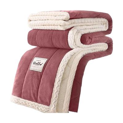 加厚贝贝绒冬季珊瑚绒毛毯