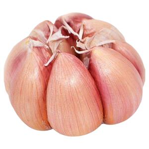 2025年河南杞县紫皮大蒜头农家种籽天天特价蔬菜批发蒜头籽干蒜子