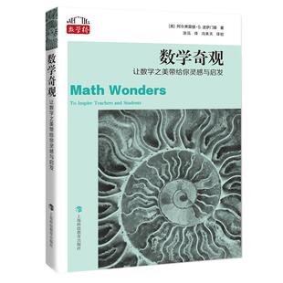 数学奇观 让数学之美带给你灵感与启发 [美]阿尔弗雷德 数学读物 趣味数学 数学欣赏 让你爱上数学这个难题 上海科技教育 世纪出版