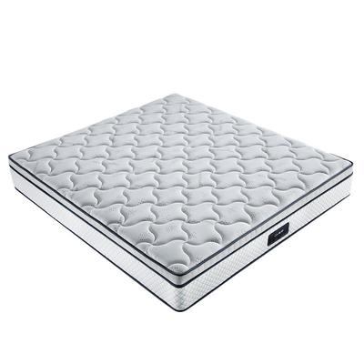 超硬护脊3E椰棕5cm加厚