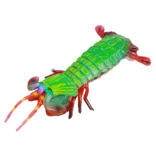 雀尾螳螂虾模型仿真海洋生物皮皮虾濑尿虾虾姑海葵虾儿童认知玩具