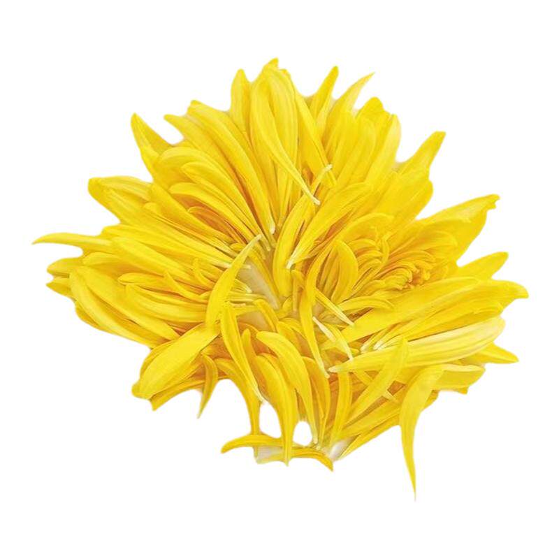 黄菊花瓣新鲜摆盘装饰花草点缀