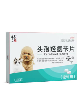 修正宠物专用消炎药狗狗猫咪呼吸泌尿道皮肤感染头孢羟氨苄片12片