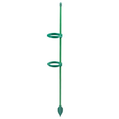 龟背竹专用防倒伏支撑杆