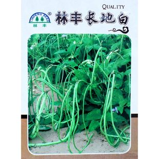 无架长豆角种子苗豇豆四季豆蔬菜种籽菜种大全孑豆种籽种秧豆角苗