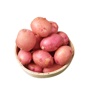 云南红皮黄心土豆新鲜小土豆农家蔬菜洋芋自种批发马铃薯整箱包邮