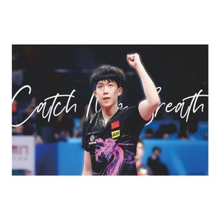 乒乓球活动室墙面海报贴纸体育明星运动风采球馆体育馆墙贴装饰画