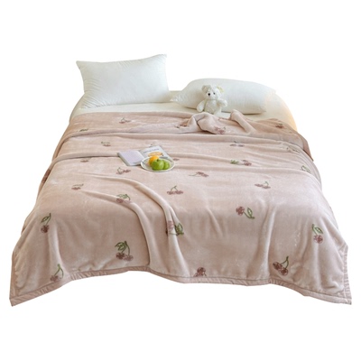 拉舍尔毛毯冬季加厚加绒保暖盖毯牛奶绒珊瑚绒宿舍学生被子床上用