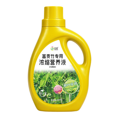 富贵竹专用营养液治叶子发黄