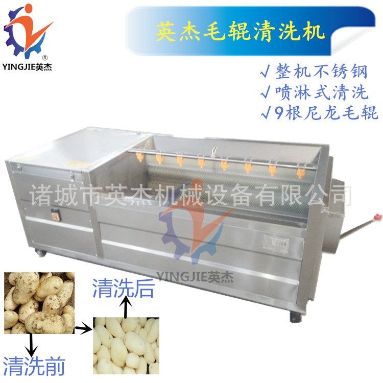 土豆毛辊清洗机红薯芋头U型毛辊清洗机全自动出料清洗设备