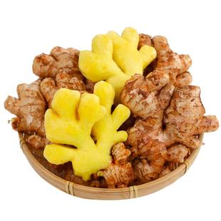 云南小黄姜新鲜生姜老姜母农家自种现挖沙姜嫩姜食用蔬菜批发包邮