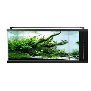 莱易欧侧滤金鱼缸一体式雷龙缸三湖慈鲷缸客厅桌面全套超白鱼缸