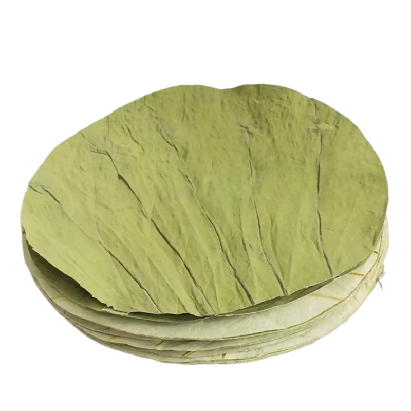 微山湖荷叶新鲜整张干荷叶切片圆形糯米鸡叫花鸡干荷叶熬粥蒸笼垫