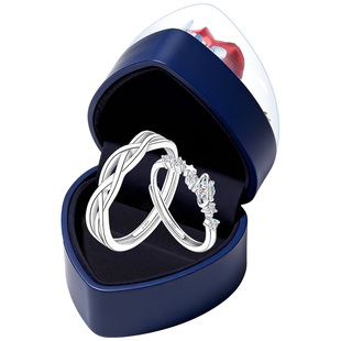 银戒指满天星情侣对戒999纯银情侣款女男求婚结婚婚戒小众设计感