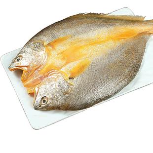 黄鱼鲞新鲜冷冻大黄鱼黄花鱼三去生鲜宁德小黄鱼鲜活海鲜海鱼商用