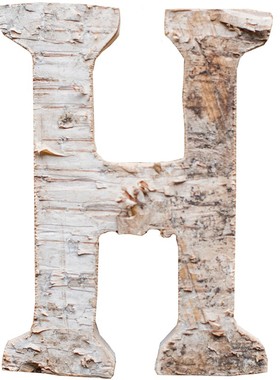 天然原木英文字母场景布置装饰