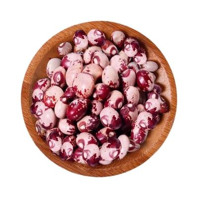 新货熊猫豆云南农家饭豆眉豆米豆江豆奶花豆花芸豆豆类五谷杂粮