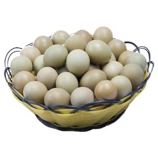 正宗七彩山鸡蛋60枚新鲜 宝宝辅食 农家杂粮天然散养土鸡蛋野鸡蛋