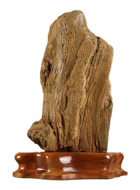 天然木化石观赏家居客厅办公室
