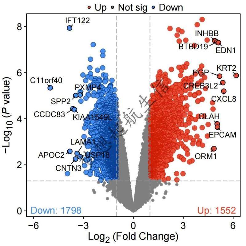 生信分析TCGA GEO单细胞转录组孟德尔网药实验外包科研