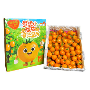 【顺丰包邮】电白香芒皇后小番茄礼盒装超甜千禧圣女果新鲜西红柿