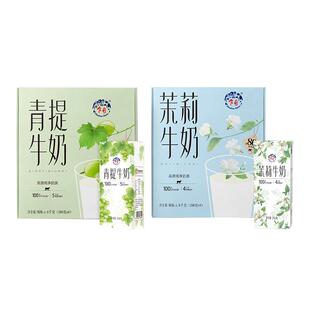 乍甸牛奶青提果味/茉莉花香味甜牛奶200g*8盒*2箱学生早餐奶礼盒