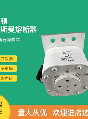 议价全新快速熔断器保险170M7035 170M7036 170M7037 170M7041