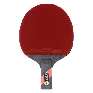 SFUKING斯弗帝乒乓球拍专业级单拍碳素底板6星十星高弹胶皮乒乓拍