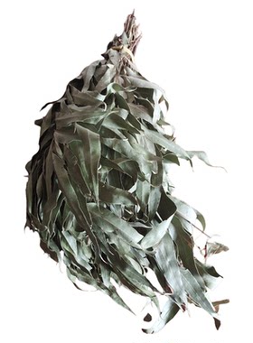 蜜袋鼯笼子里造景晒干桉树叶