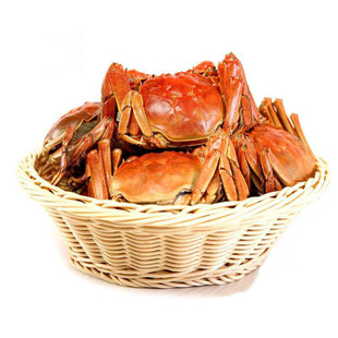 活蟹残蟹精品】固城湖大闸蟹残蟹鲜活螃蟹断脚残次蟹3斤装12-15只