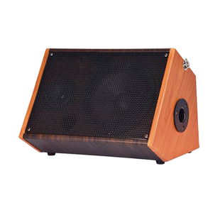 赛达乐器音响弹唱木电吉他音箱户外直播卖唱蓝牙专用设备唱歌路演