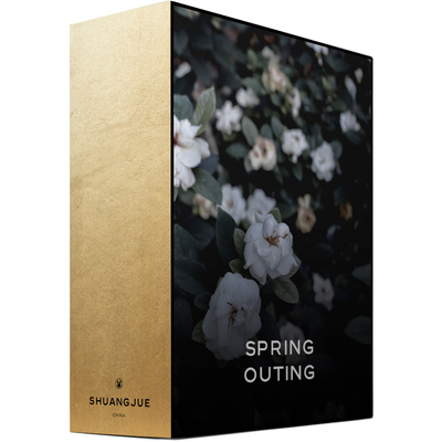 lr预设 霜绝2020日系春游蓝黄清新胶片手机版lightroom调色滤镜ps