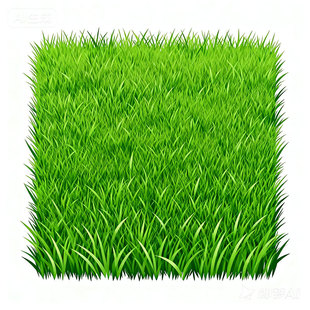 草坪草籽四季常青黑麦草百慕大草种子护坡狗牙根庭院地毯草皮绿化