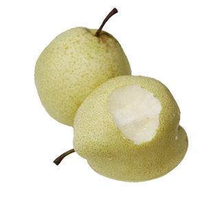 蒲城酥梨新鲜水果梨子陕西当季鲜梨大果脆甜多汁老树现摘现发顺丰