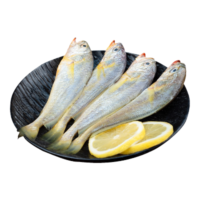 海鼎纪舟山小黄鱼野生海捕