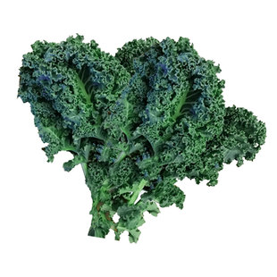 勤励园新鲜羽衣甘蓝1斤蔬菜kale健康食品西餐沙拉配菜食材榨汁用