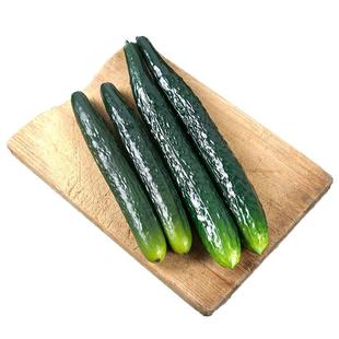 仿真假水果蔬菜模型软胶大小苦青黄瓜茄子店铺厨房装饰摆件玩道具