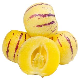 云南石林人参果黄心沙漠人生果长寿果黄果低糖孕妇新鲜当季包邮