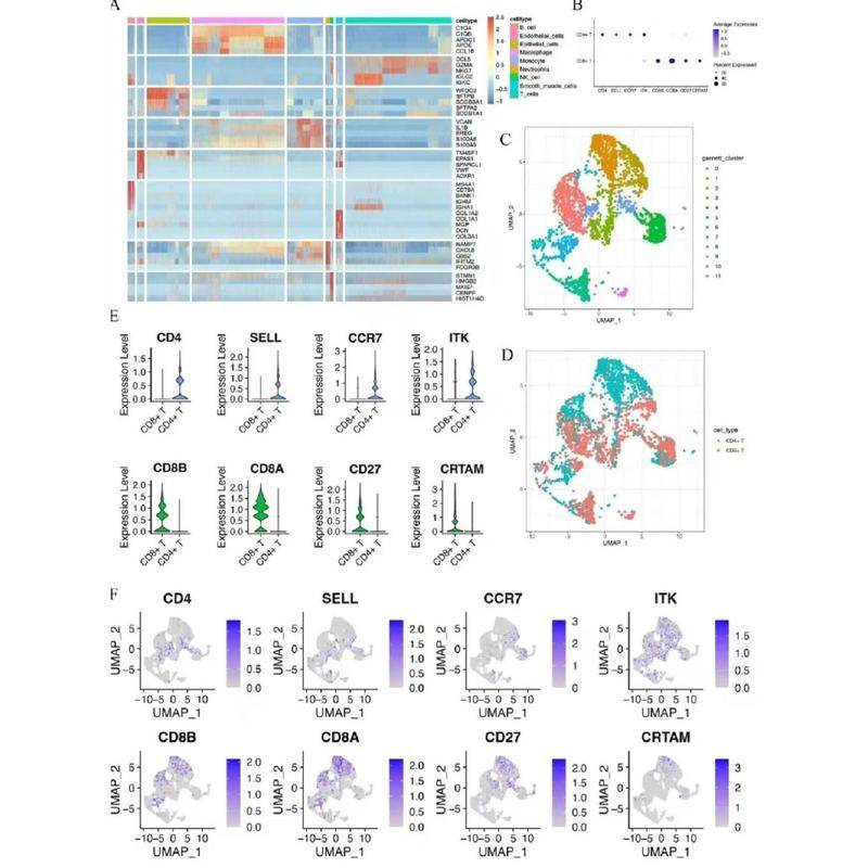 网络药理学专业代做 cytoscape作图 GO/KEGG富集 PPI网络