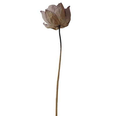 风干荷花莲蓬干花瓶插花摆件