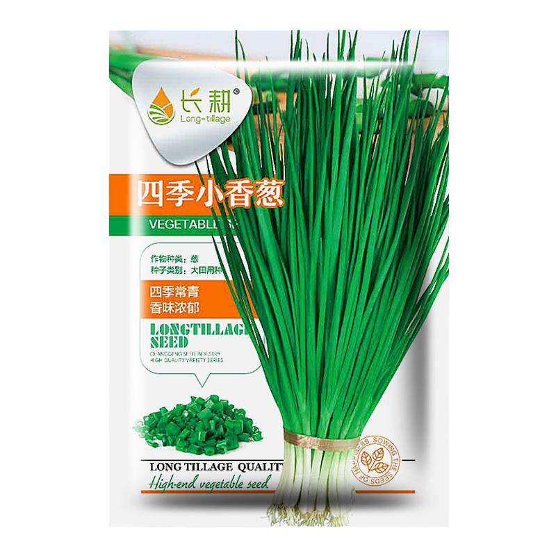 蔬菜种子大全香菜葱菠菜生菜青菜种子家庭阳台春秋四季蔬菜种孑