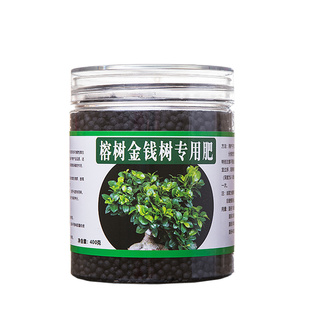 榕树肥料专用肥小叶榕肥料人参榕营养液复合肥有机颗粒缓释肥