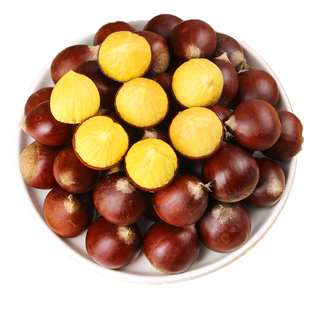 板栗生栗子新鲜现摘建瓯锥栗2025年野生油栗农家毛栗子带壳大榛子